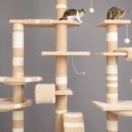 cat trees